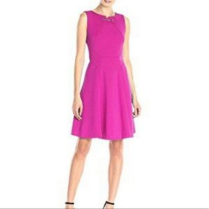 Ivanka Trump Scuba Dress (NWT)